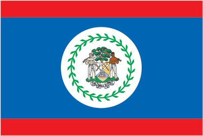 Discover the Origins and Symbolism of the Pre-Independence Belize Flag